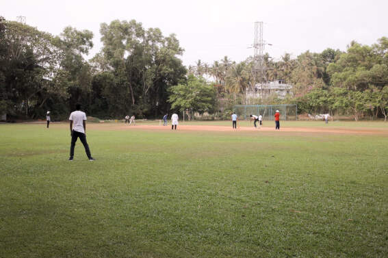 Cricket Ground 3