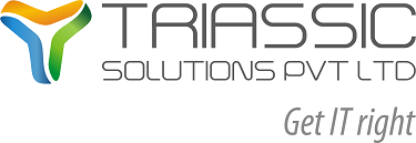 Triassic Solutions (P) Ltd