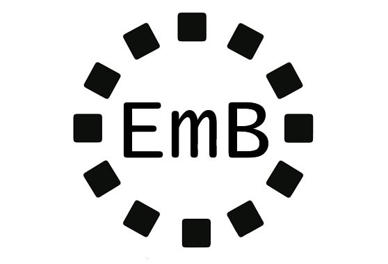 Embright Infotech (P) Ltd