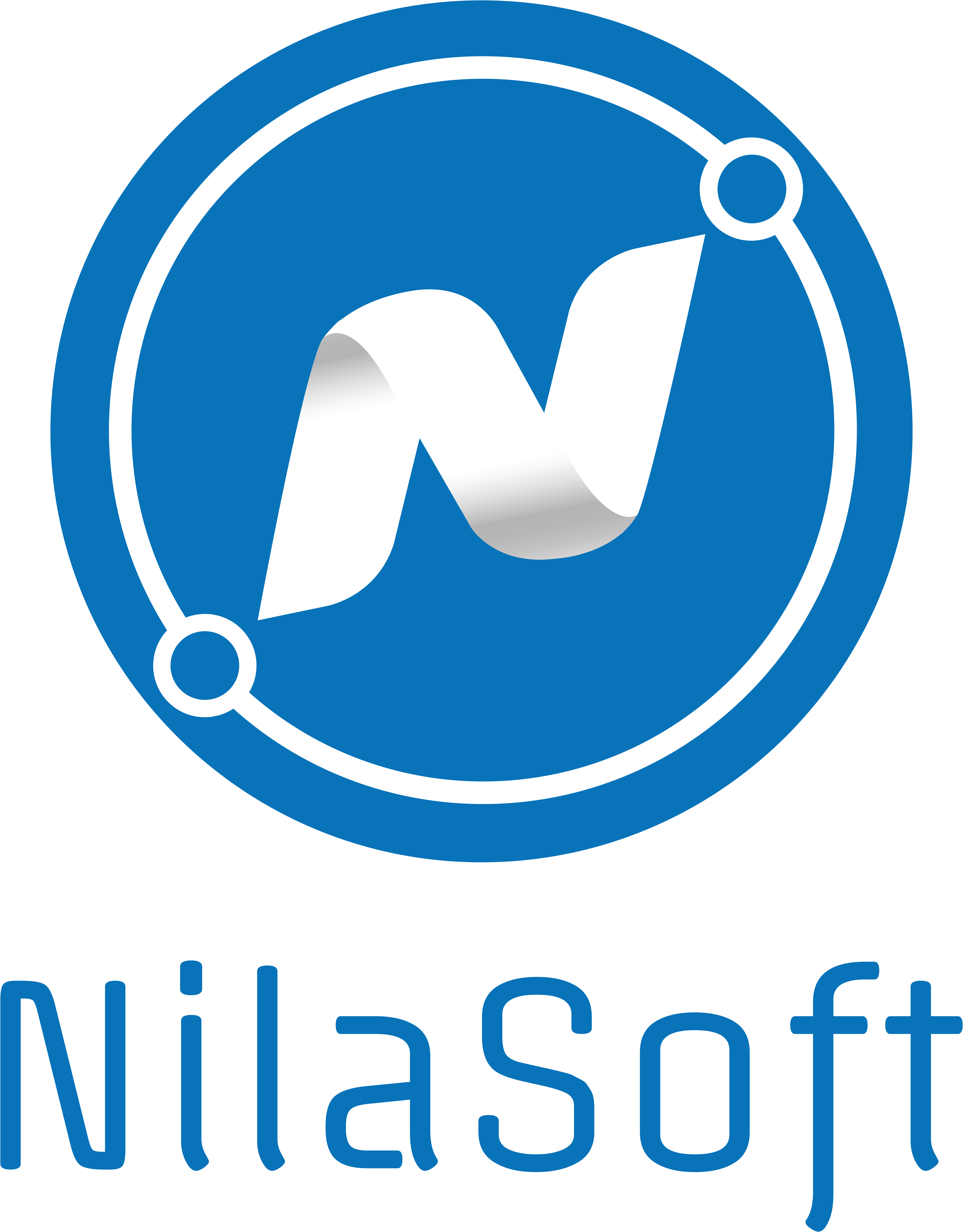 Detailed company information: NilaSoft (P) Ltd