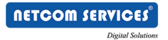 Netcom Services (P) Ltd