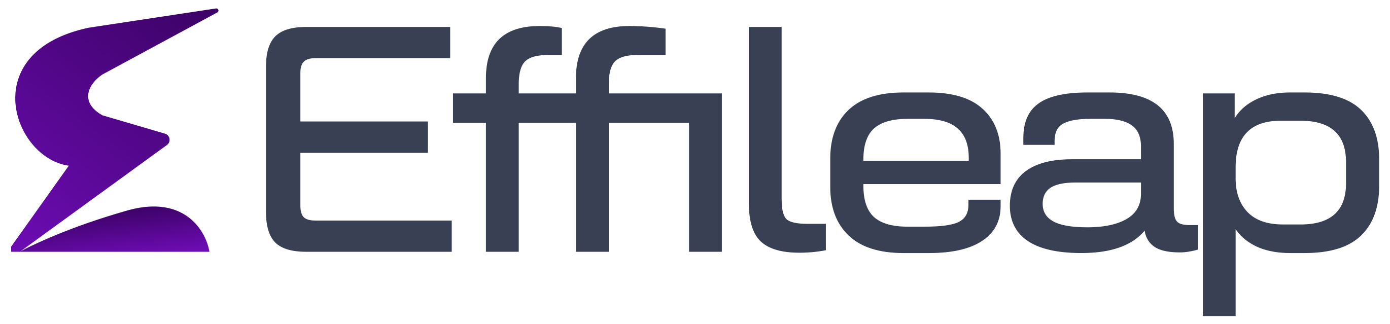Effileap Technologies (P) Ltd