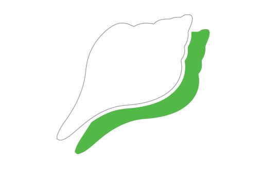 ShellSquare Softwares (P) Ltd