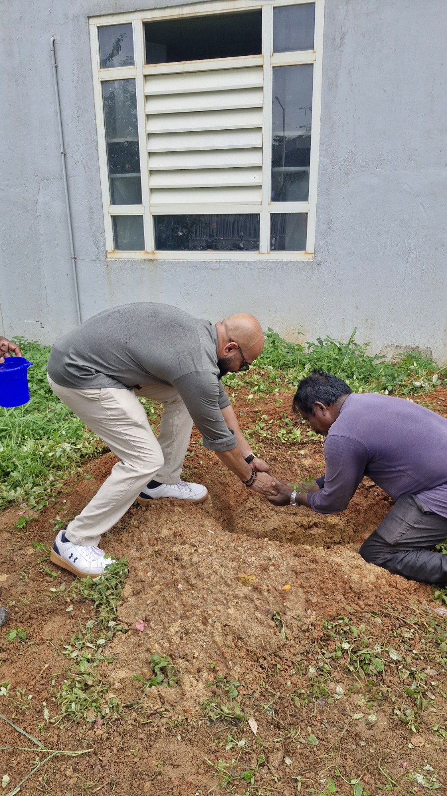 Environment Day Highlights