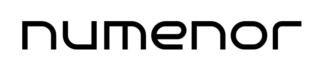 Numenor Enterprises (P) Ltd logo